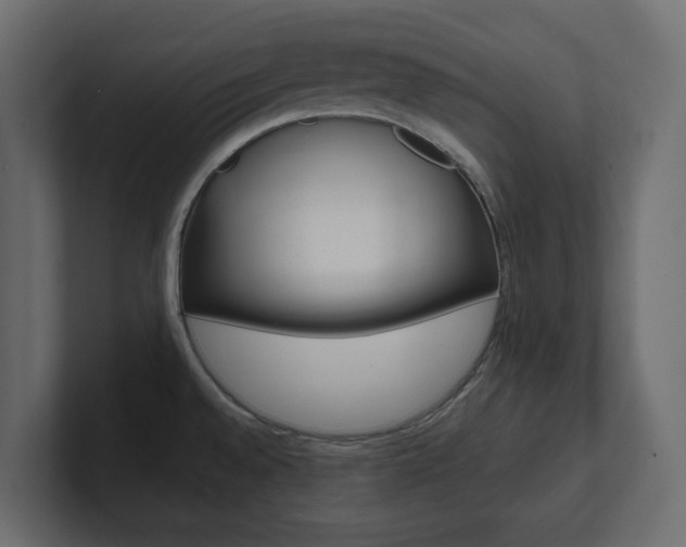X0000101221528200806270914