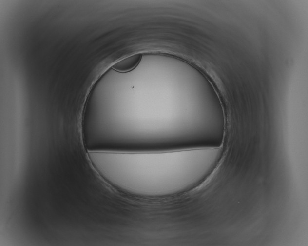 X0000101221529200806270914
