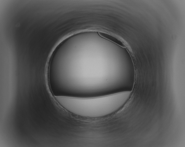 X0000101221530200806270914