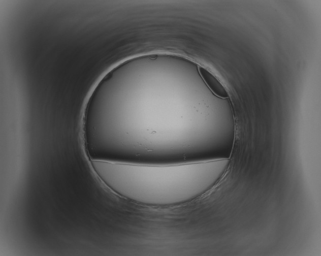 X0000101221532200806270914