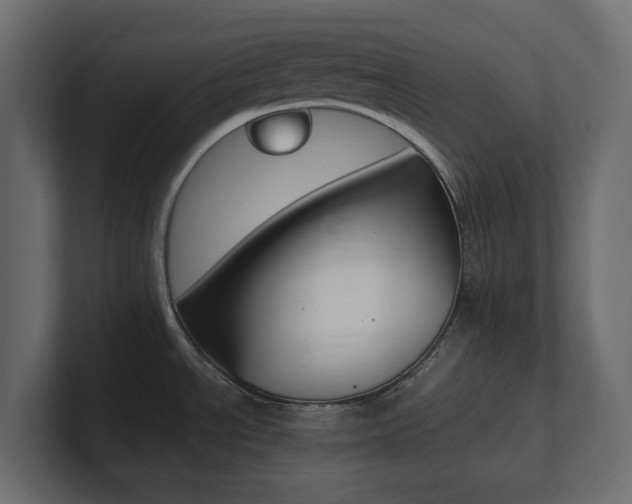 X0000101221534200806270914