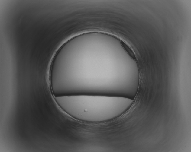 X0000101221535200806270914