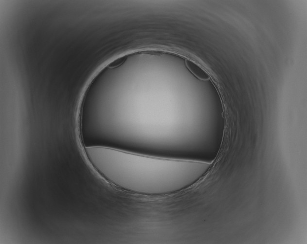 X0000101221536200806270914
