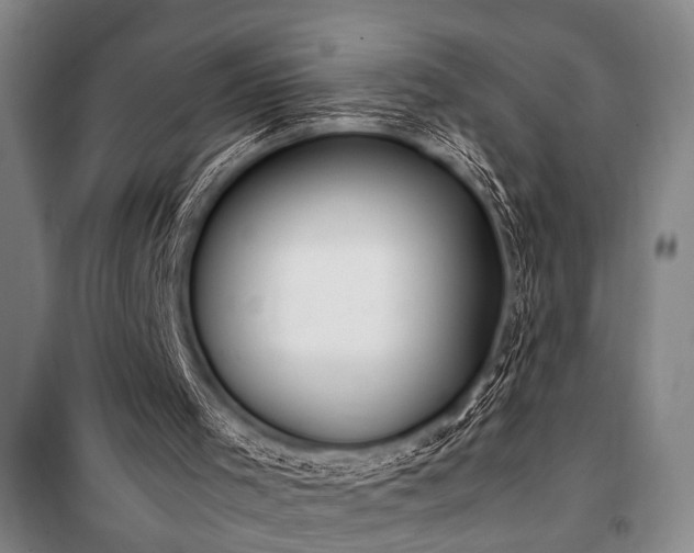 X0000101220001200806271458