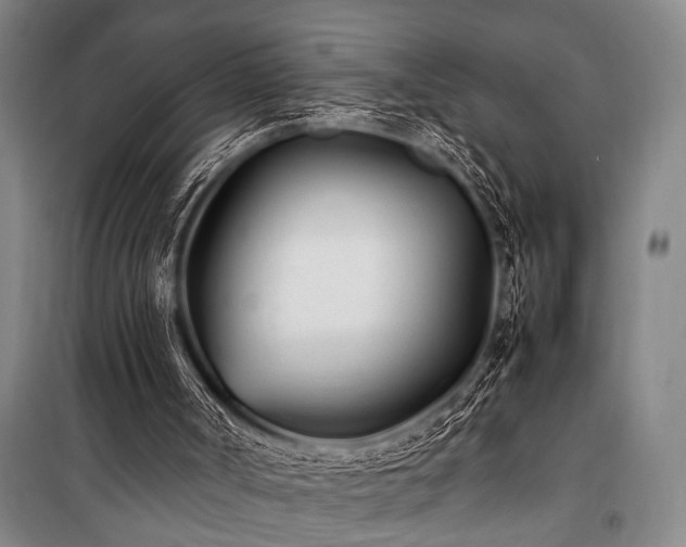 X0000101220002200806271458