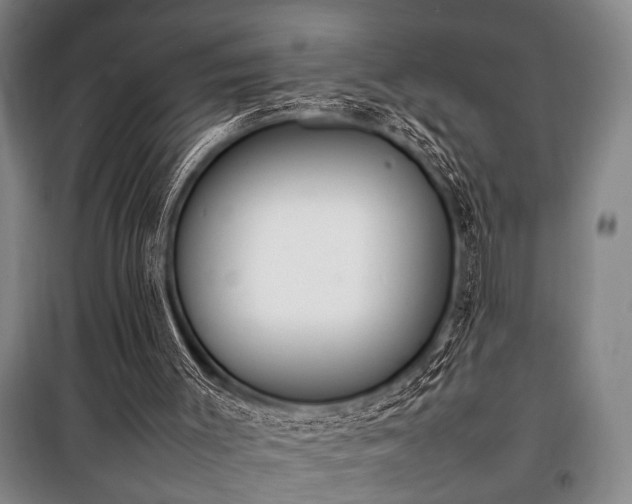 X0000101220003200806271458