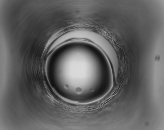X0000101220004200806271458