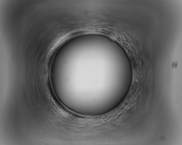 X0000101220005200806271458