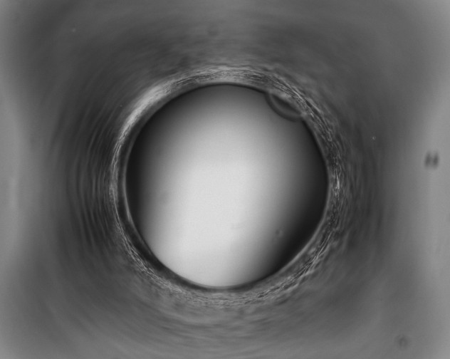 X0000101220006200806271458
