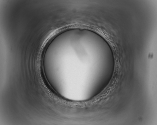 X0000101220007200806271458