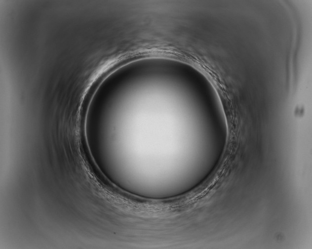 X0000101220008200806271458