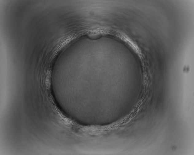 X0000101220009200806271458
