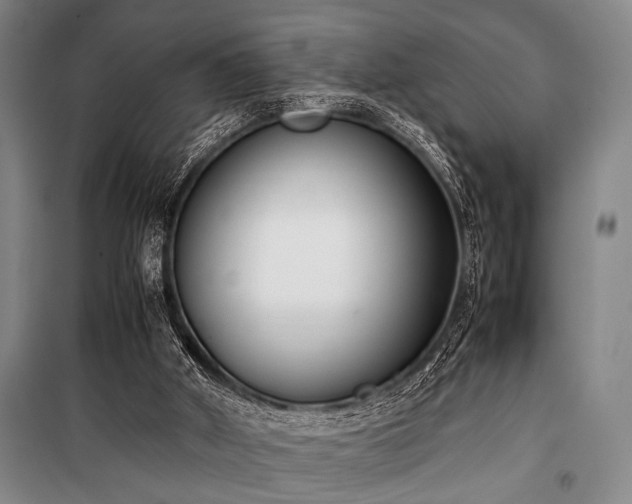 X0000101220010200806271458