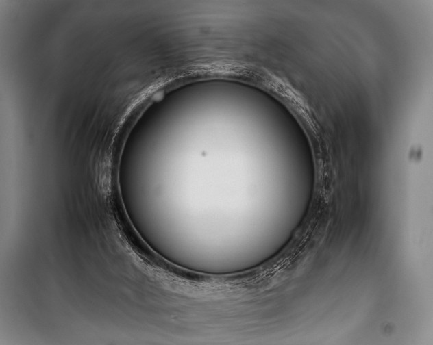 X0000101220012200806271458