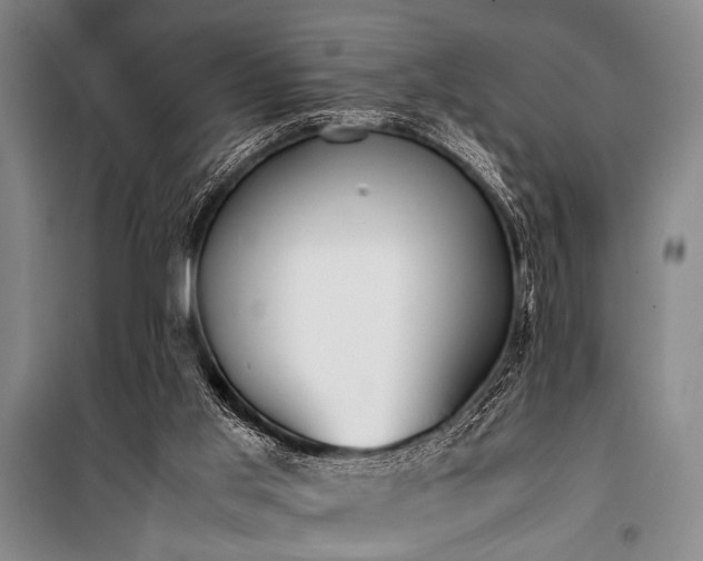 X0000101220013200806271458