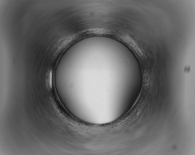 X0000101220014200806271458