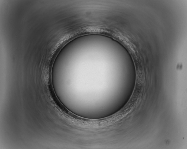 X0000101220015200806271458