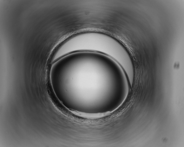 X0000101220016200806271458
