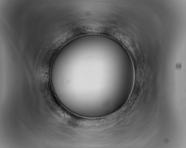 X0000101220017200806271458