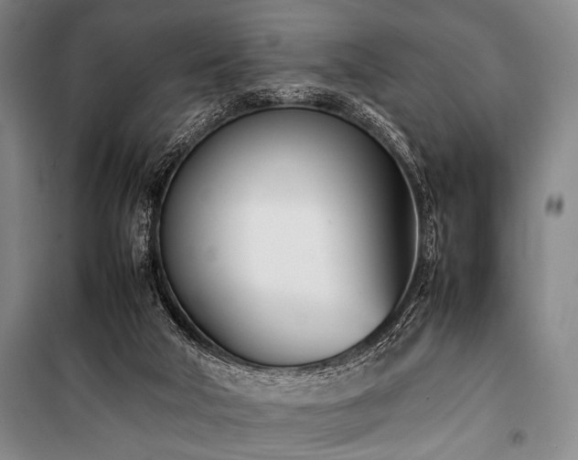X0000101220018200806271458