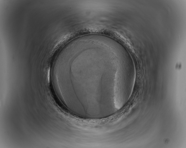 X0000101220019200806271458