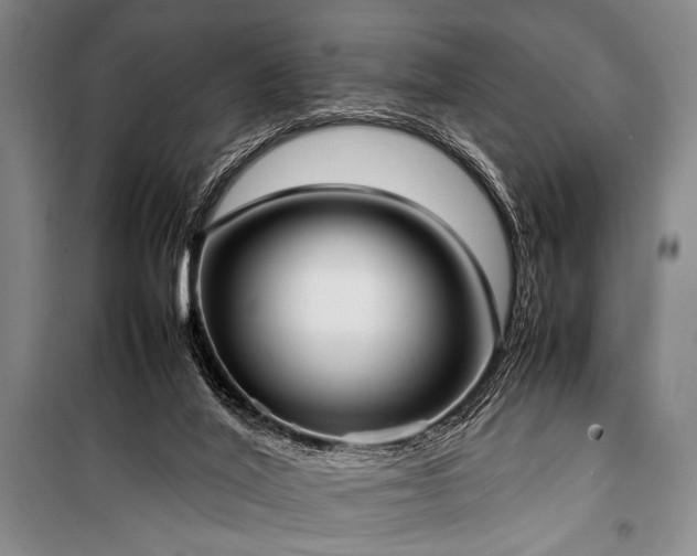 X0000101220020200806271458