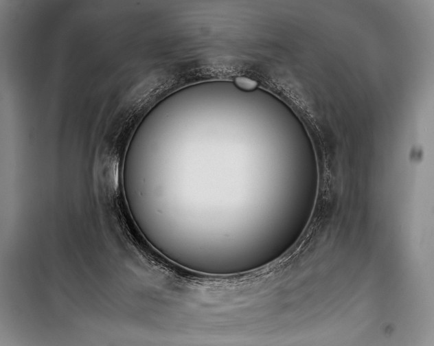 X0000101220021200806271458