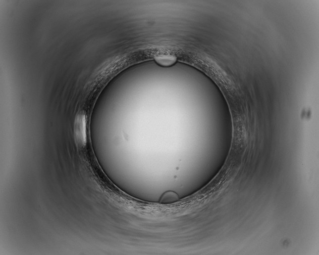X0000101220022200806271458