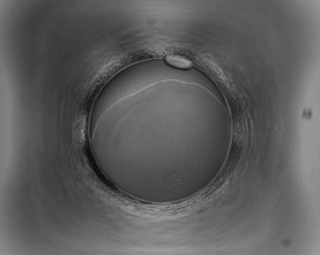 X0000101220023200806271458