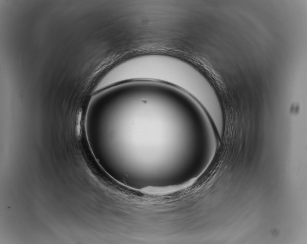 X0000101220024200806271458