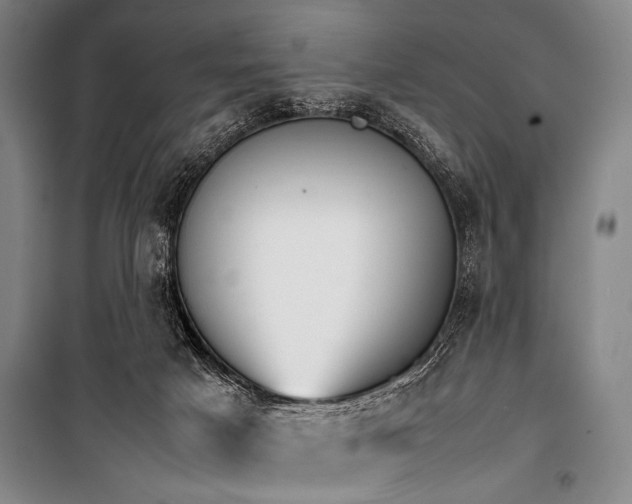 X0000101220025200806271458