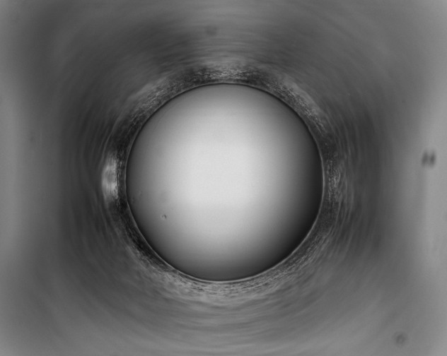 X0000101220026200806271458