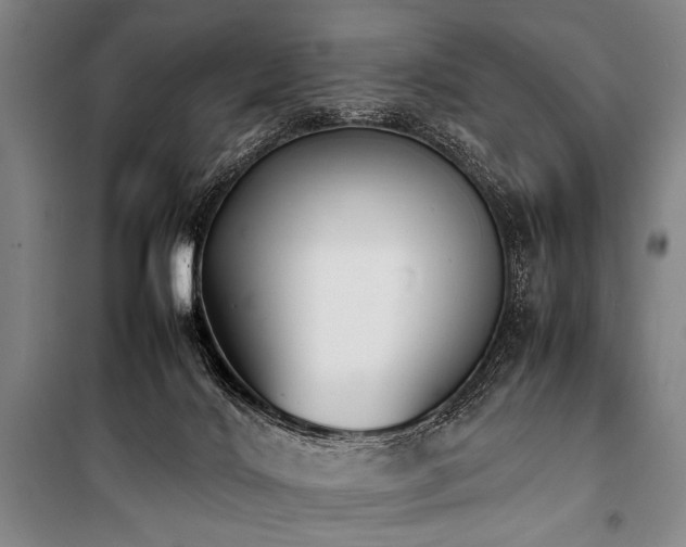 X0000101220028200806271458