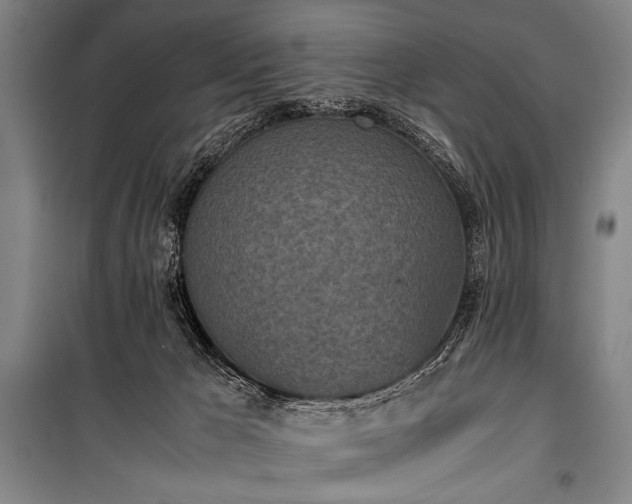 X0000101220029200806271458