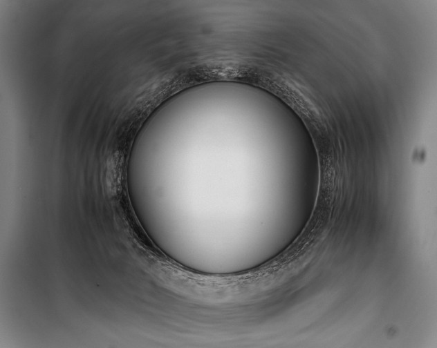 X0000101220030200806271458