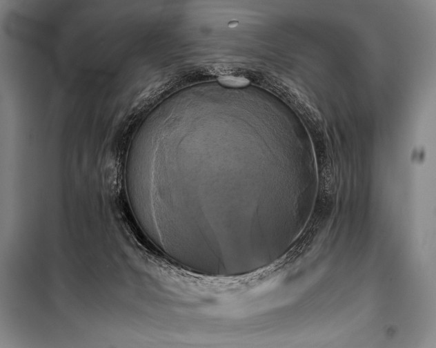 X0000101220031200806271458