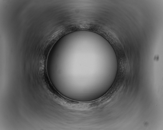 X0000101220032200806271458