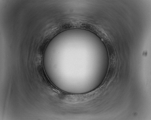 X0000101220033200806271458