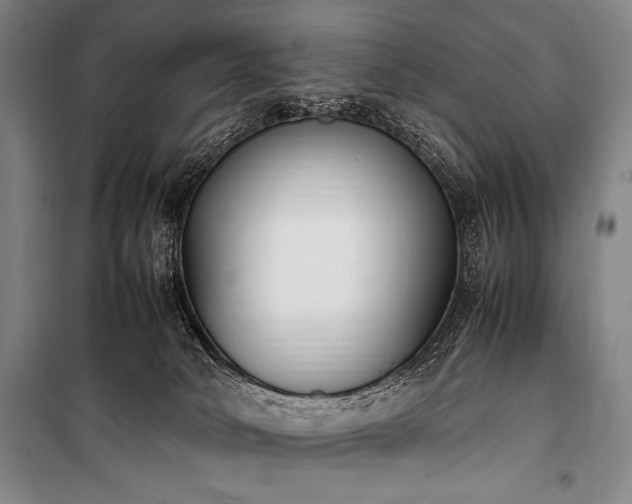 X0000101220034200806271458