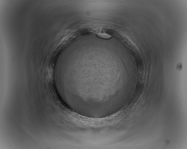 X0000101220035200806271458