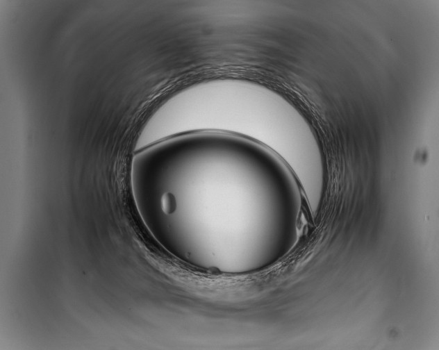 X0000101220036200806271458