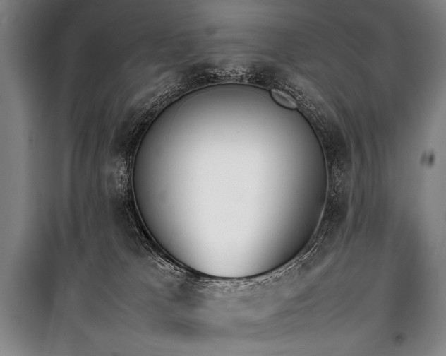 X0000101220037200806271458