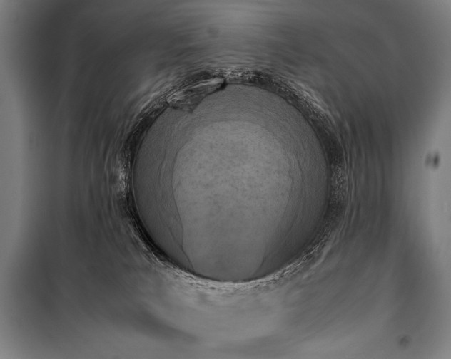 X0000101220039200806271458