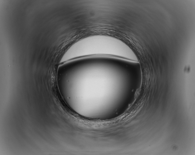 X0000101220040200806271458