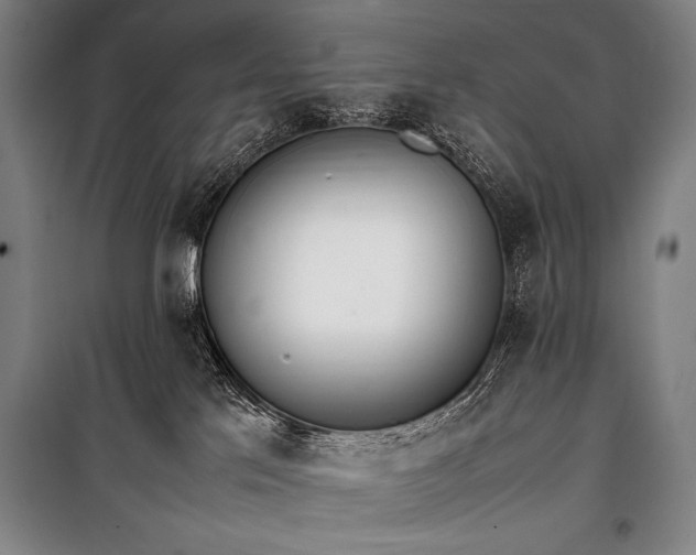 X0000101220041200806271458