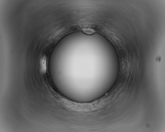 X0000101220042200806271458