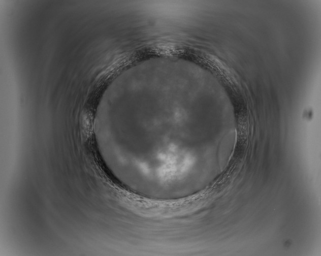 X0000101220043200806271458