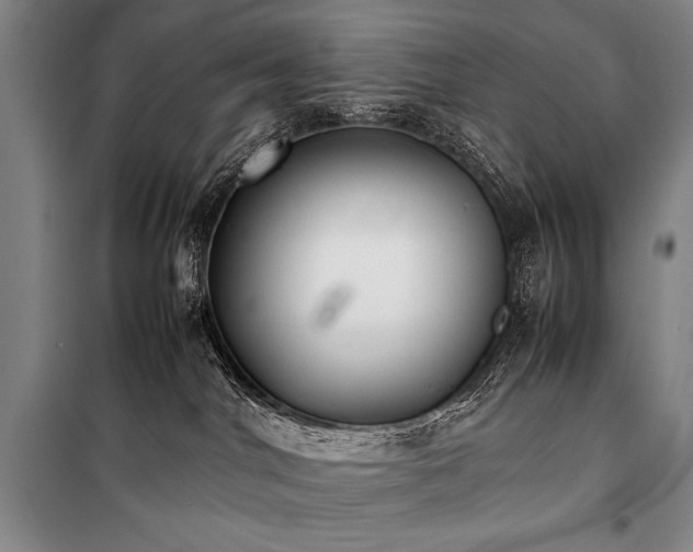 X0000101220044200806271458