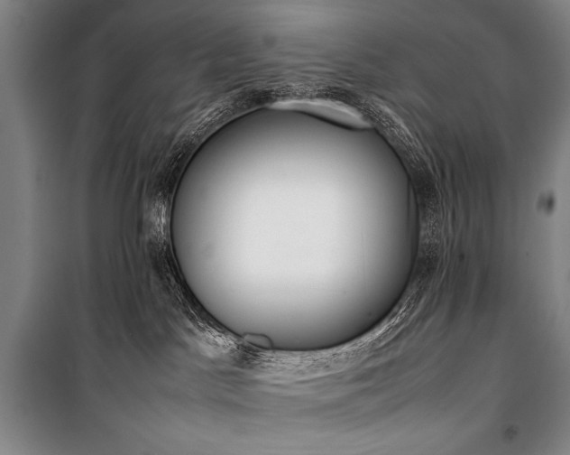 X0000101220045200806271458