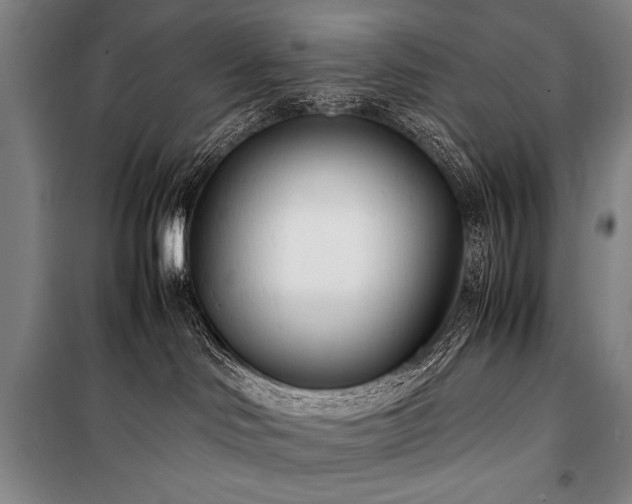 X0000101220046200806271458